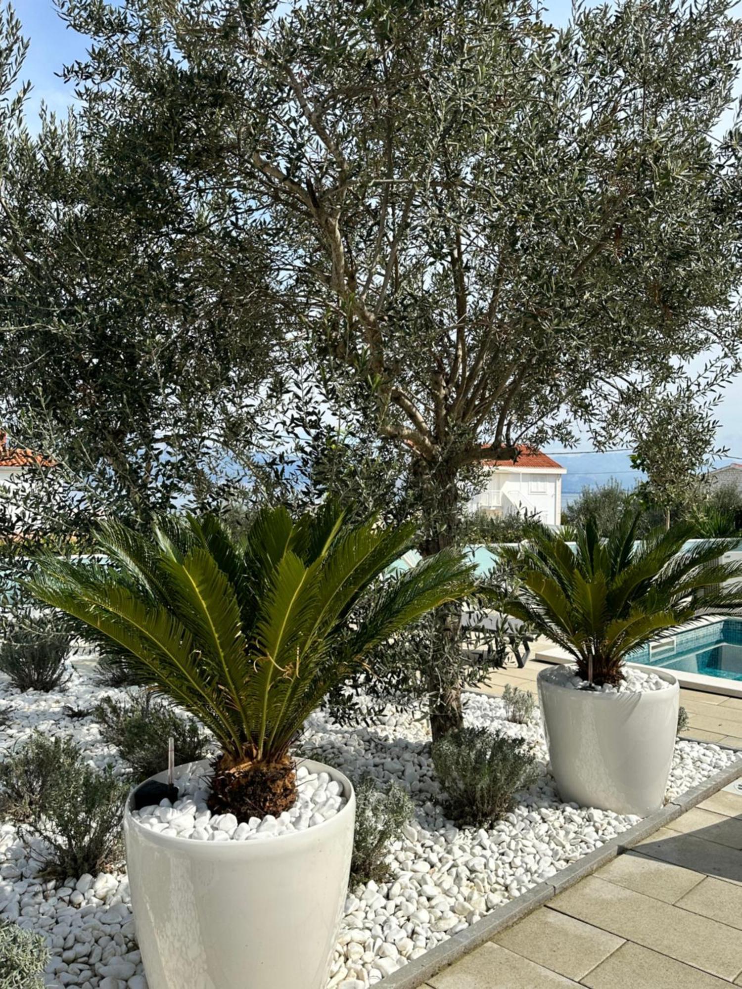 Apartments Marina تروغير المظهر الخارجي الصورة