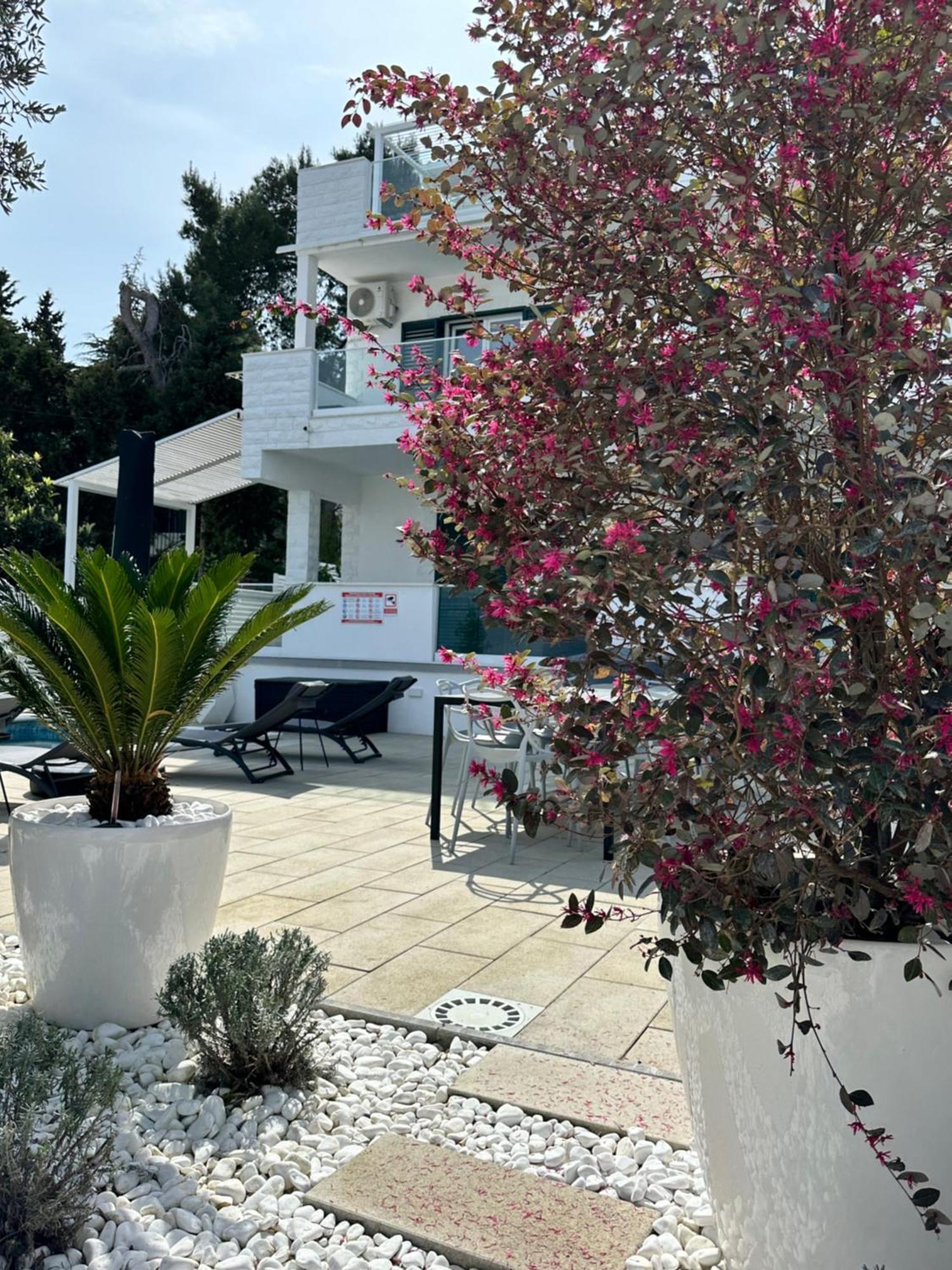 Apartments Marina تروغير المظهر الخارجي الصورة